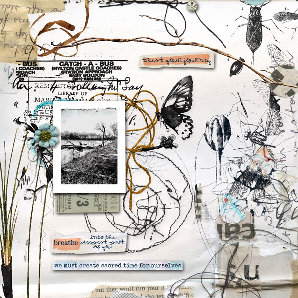 Rachel Jefferie Anisoptera Mixed Media Bundle