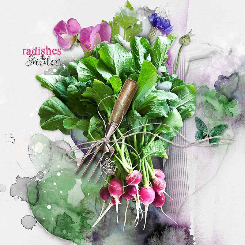 Radishes