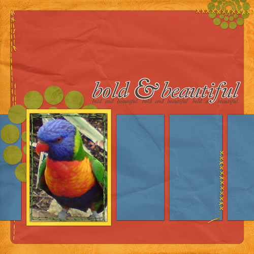 Rainbow Lorikeets