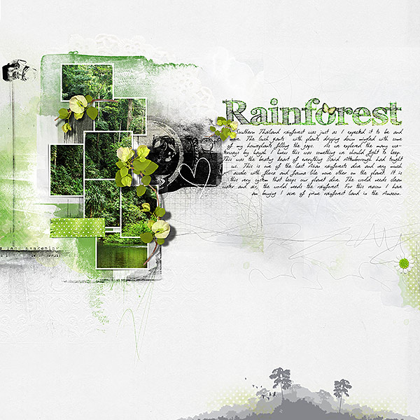 rainforest-by-mum2gnt