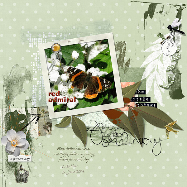 Red Admiral