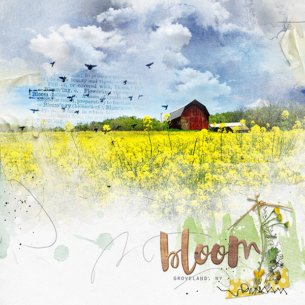 Red Barn