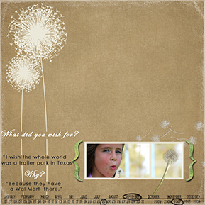 Redneck Wish