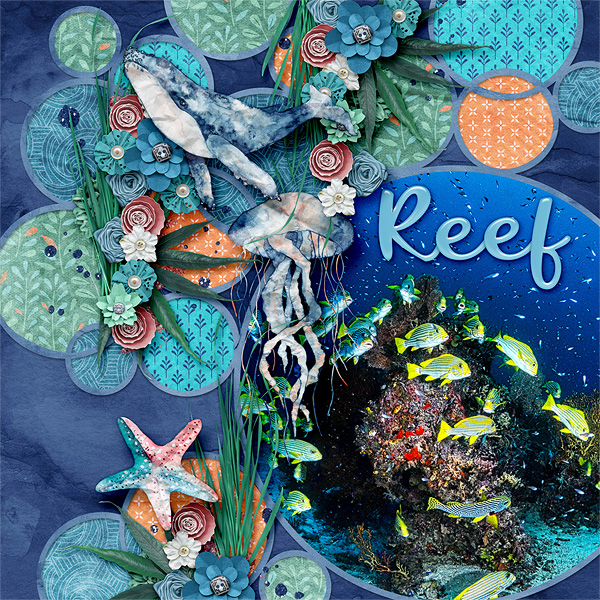 Reef