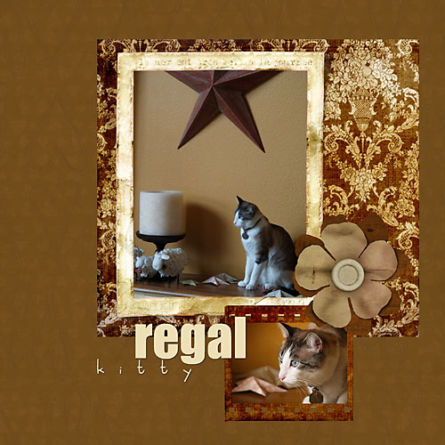 regal kitty