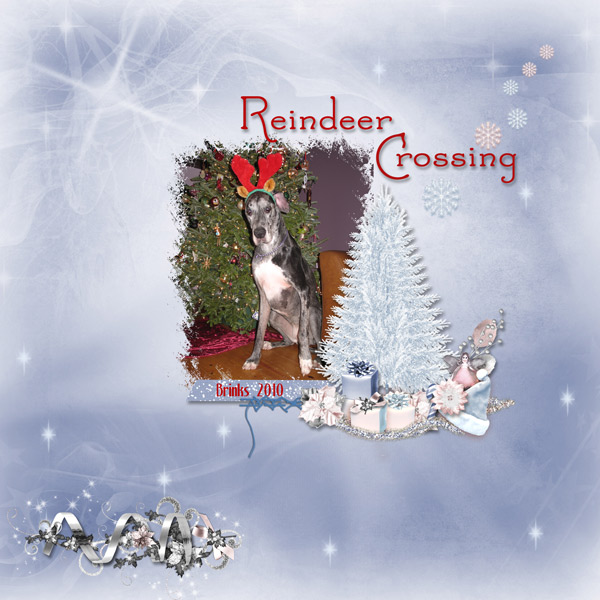 Reindeer Crossing_Brinks