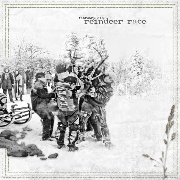 Reindeer race