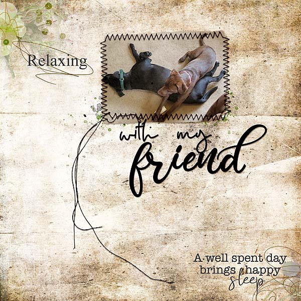 Relaxing with my Friend