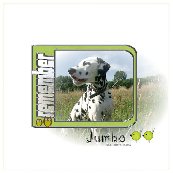 remember Jumbo