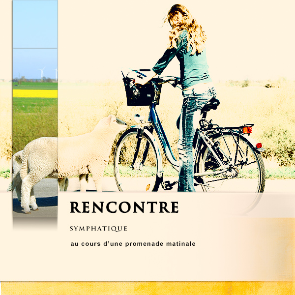 Rencontre