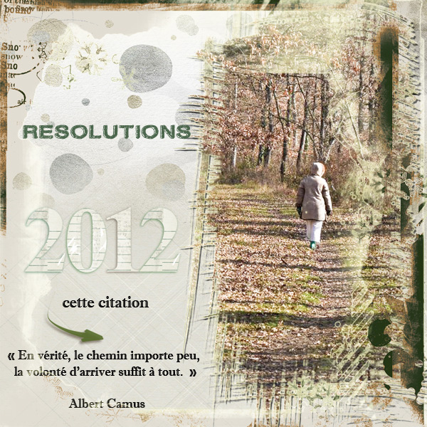 Resolutions 2012