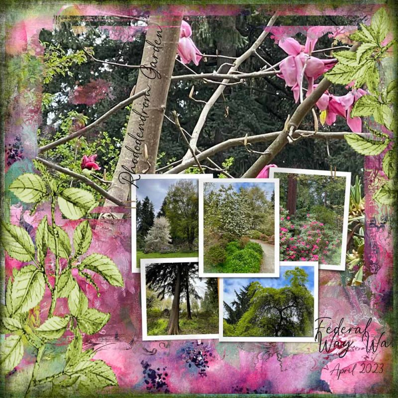 Rhododendron Garden