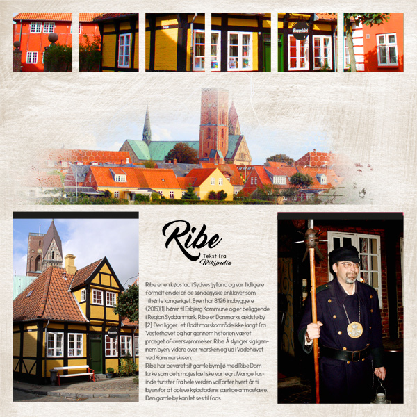 Ribe - 28