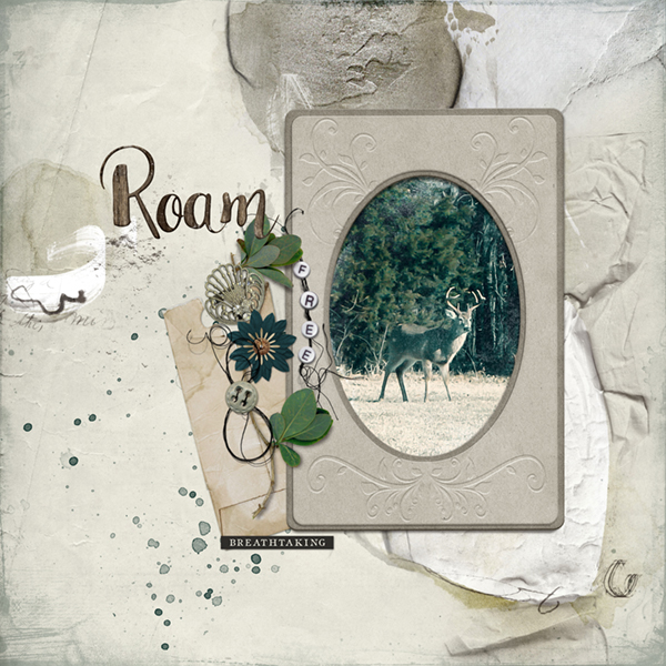 Roam Free - Antiquity APP