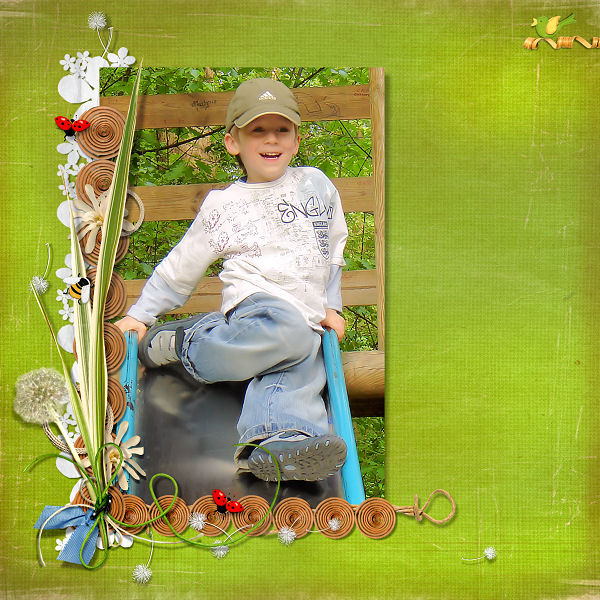 Robert