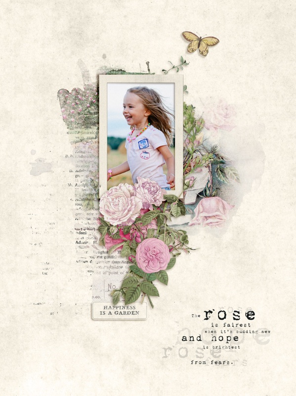 Rose