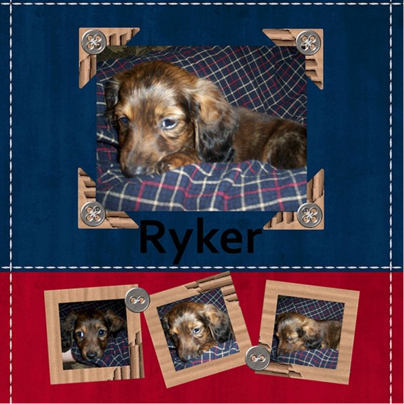 ryker