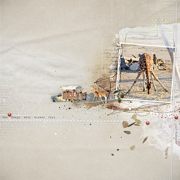 S.D. Wild Animal Park