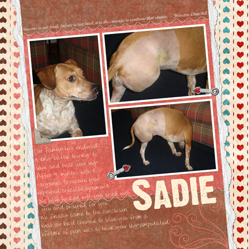 Sadie