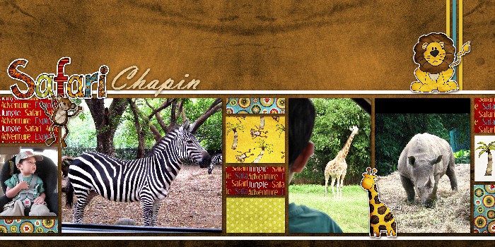 Safari Chapin