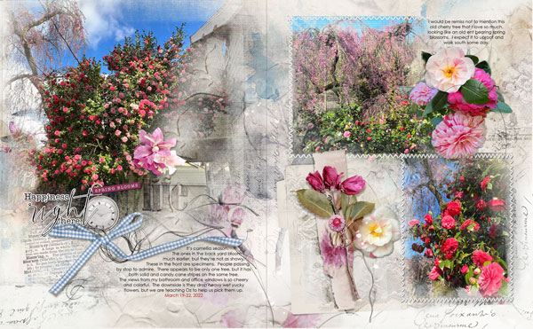 SALE ArtPlay Palette Sashay Collection Camellias