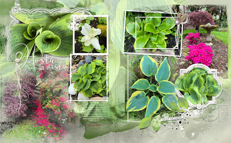 SALE Artplay Wellspring Hostas