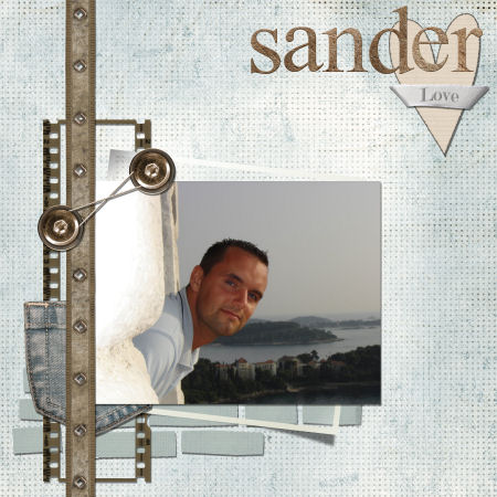 Sander
