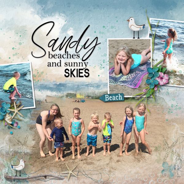 Sandy Beaches