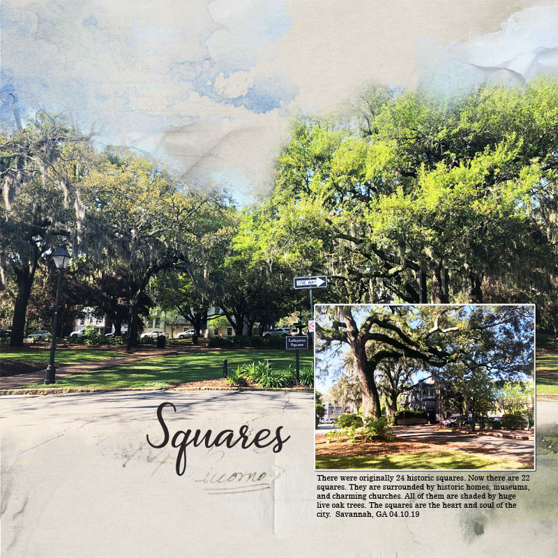 Savannah Squares