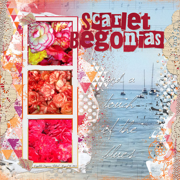 Scarlet Begonias