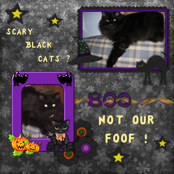 Scary Black Cats