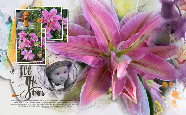 Scenic Template Album 4 Pink-Lilies