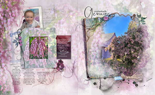 Scenic Template Album 6 - Purple House & Andromeda