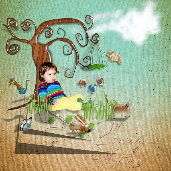 Scerish your dream