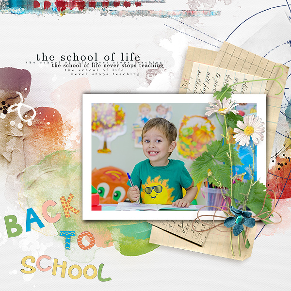 School Of Life