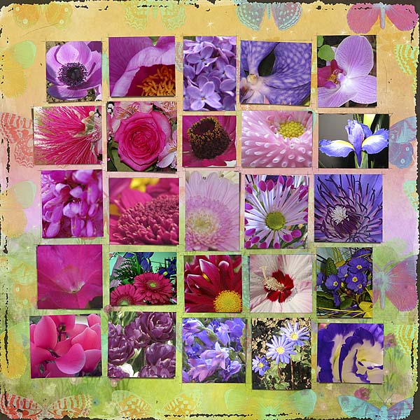 Scrap 25 - 275 Photos Challenge @ Joanne Brisebois Designs!! - Flowers