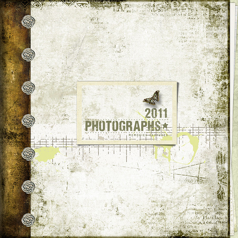 Scrapbook Cover 2011