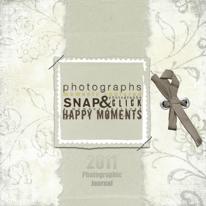 Scrapbook Cover 2011