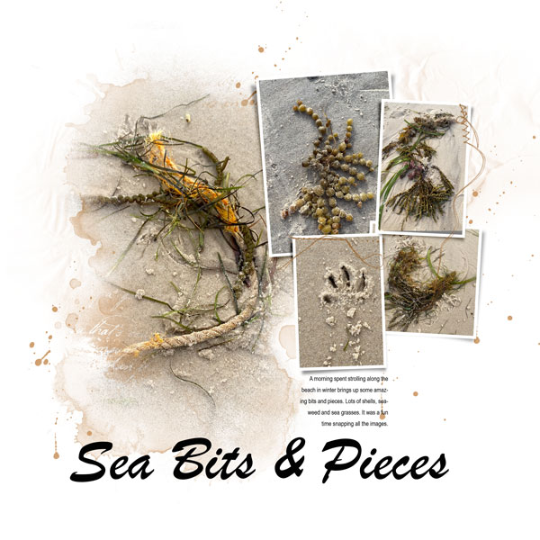 Sea Bits and Pieces