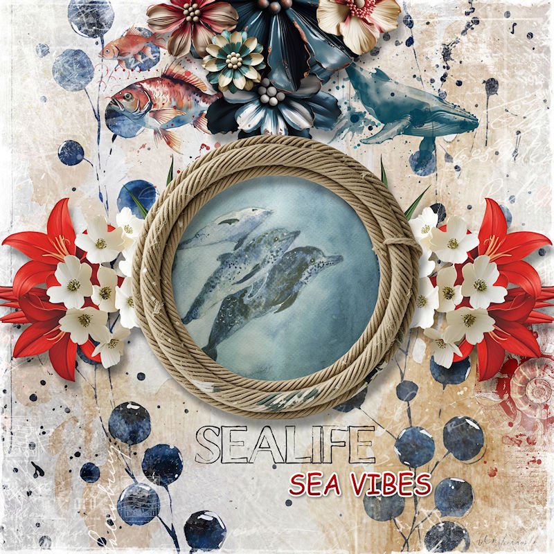 Sea life , sea vibes