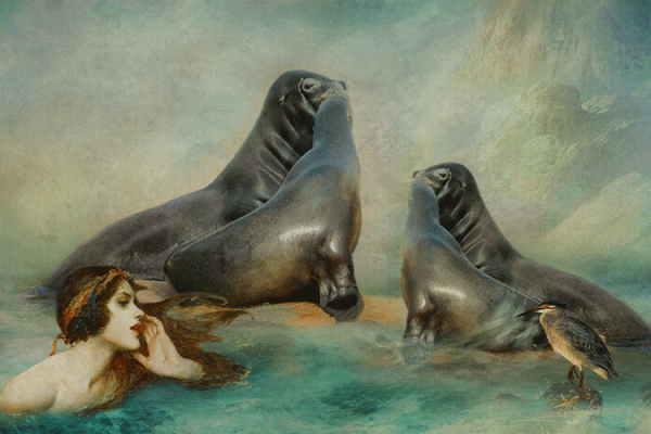 Sea Lions in Love--Copy Challenge June