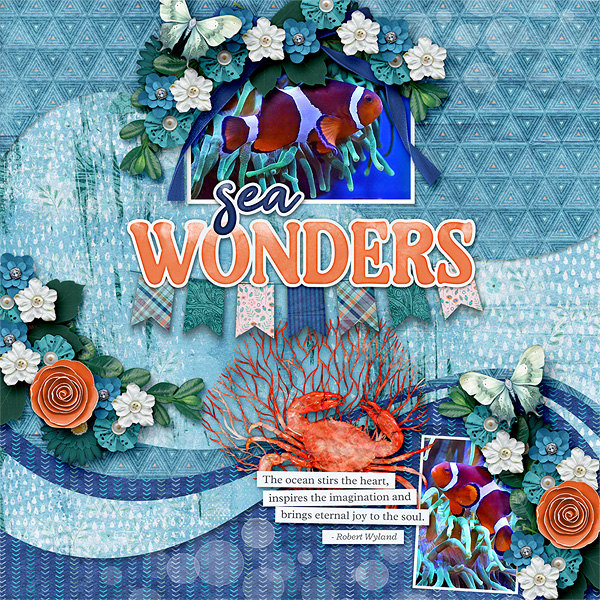 Sea Wonders