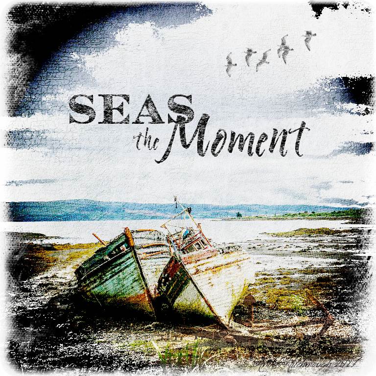 Seas the Moment