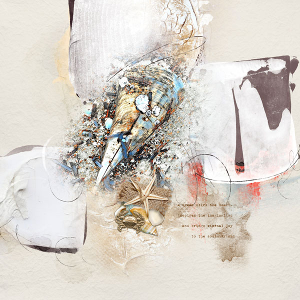 Seashore Finds