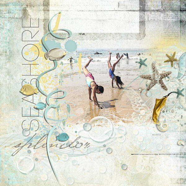 Seashore