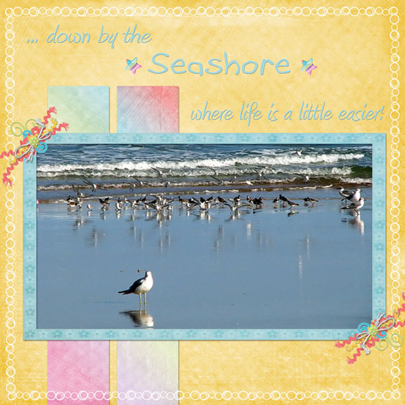 Seashore