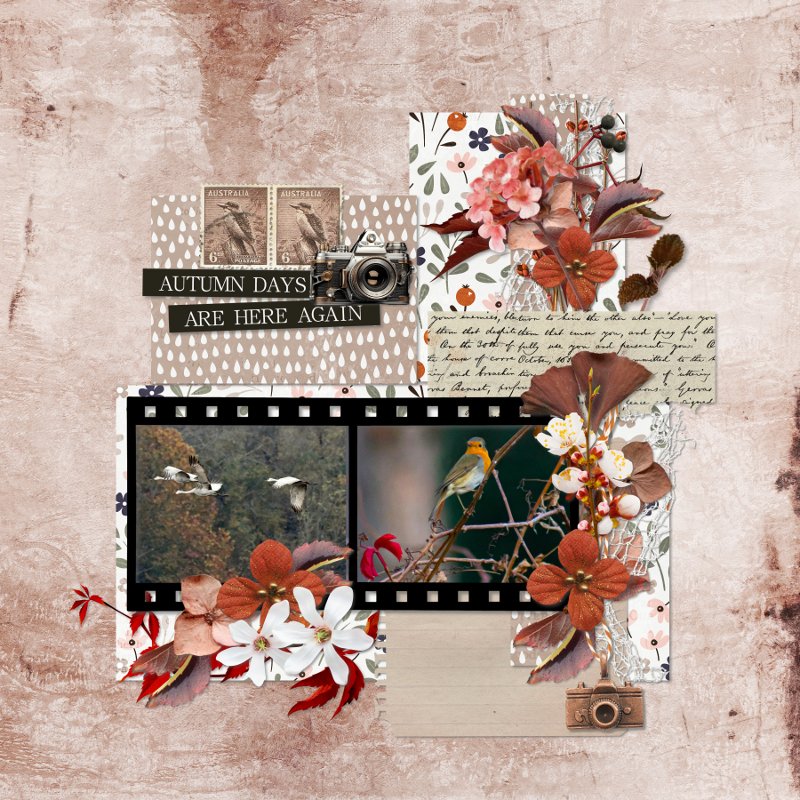 Season of change.jpg