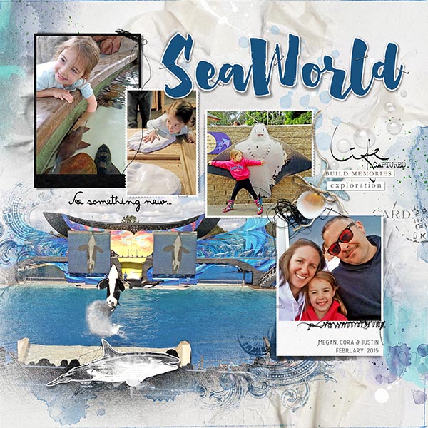 SeaWorld Pg 2