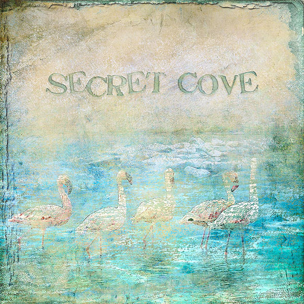 SECRET COVE