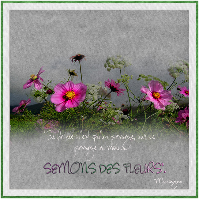 Semons des Fleurs